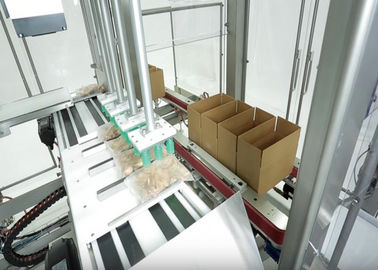 China Automatischer Fall-Verpacker mit Karton-Erbauer und genauer für Kleid/Kleidung/Kleid usine